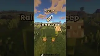 Minecraft NAME TAG Tricks!