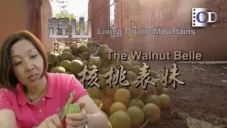 From Mountains to Market: China’s 