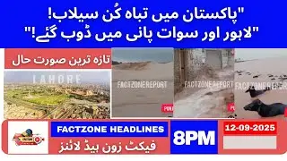 Pakistan Floods 2025 | Punjab & KPK Flood Emergency | FactZone Shorts