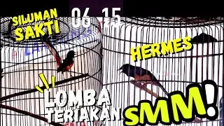 Lomba Teriakan SMM🔥Ramaikan DUEL Murai HERMES vs Siluman Sakti di LAMPUNG ARENA