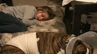 Part 01: My daughter is alive tonight because of the dog I had planned to surrender  #rescuedog 