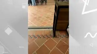 Tiempo de Cosecha