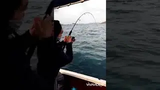 pesca en Cartagena (Murcia) pulpo