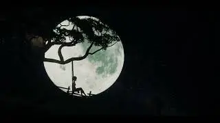 Night swing