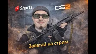 Counter-Strike 2 #stream #short #counterstrike2  #counterstrike