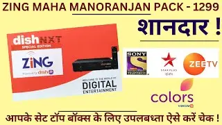 Zing Super FTA|Zing Maha Manoranjan Pack Explained!Sony Channel|Star Plus|Colors|Zee TV Included!