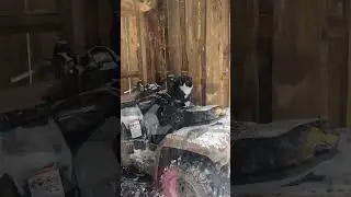 Snow Storm Playing with Pets & Quad Ride