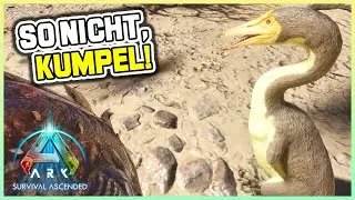 ARK Survival Ascended - 59 - Hesperornis - echt jetzt? ⭐ ASA Let's Play deutsch german