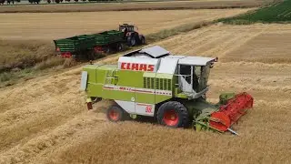 🇵🇱 ☆ ŻNIWA JĘCZMIENIA OZIMEGO 2025 🇵🇱 ☆ CLAAS DOMINATOR 98 SL MAXI ☆ DANIOPL ☆