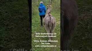 Entdeckungsreise mit Eseln