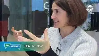 EEA Ask an expert - what is the environmental footprint at our work?