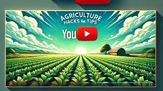 How India Supports Its Farmers: Government