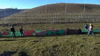 50m toa toa