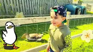 HEAD OF AYR FARM PARK OUTING WITH NOAH AND ALI
