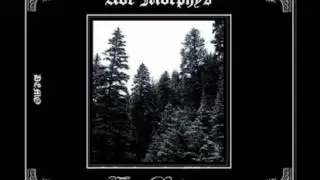 Ave Morphys - 04 -  Lagrimas de Angel.