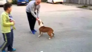 Doc1