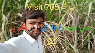 Men Naveed Raja ke pas KAAM par gea