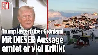TRUMP L&Auml;STERT: US-Pr&auml;sident stellt Gr&ouml;nlands Verteidigung mit &bdquo;Hundeschlitten&ldquo;-Aussage infrage