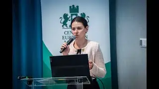 Zs. Farkas - Cross-Border Payments and Digital Innovation: The Hungarian Legal Perspective