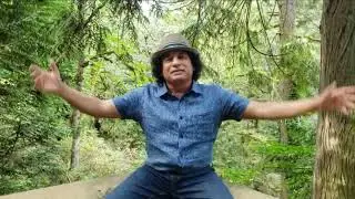 Forest Forest All Around - Amrit Bains