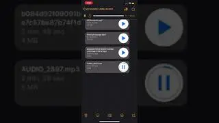 No savage - champion