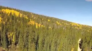 Fall in The Fraser Valley