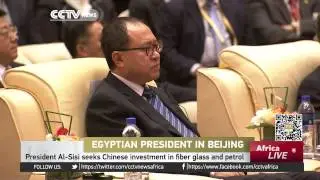Egyptian President Al-Sisi seeks Chinese investment in fiber glass and petrol