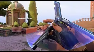 VALORANT RGX Firefly All Animations + Slow Mo