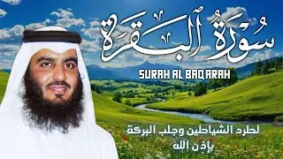 سورة البقرة كاملة بصوت أحمد العجمي رقية شرعية لتحصين البيت وطرد الشياطين تلاوة تهز القلب وتريح النفس