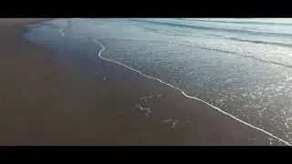 La Pointe aux Oies entre Mer et Dunes...
