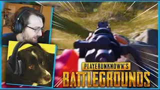 PUBG but my dog plays instead of me...