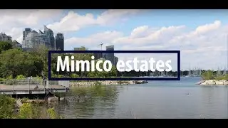 Toronto's Mimico Neighbourhood