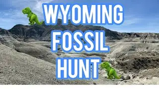 Fossil hunting WYOMING!🦖🦕