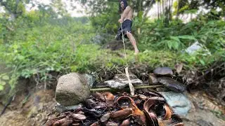 handmade fish trap | fish trap homemade | Dig a hole to make a fish trap and hit a lot of fish