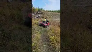 fun times last hunting season