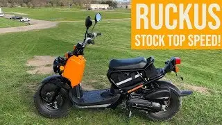 СТАНДАРТНЫЙ HONDA RUCKUS МАКСИМАЛЬНАЯ СКОРОСТЬ! С ВОДИТЕЛЕМ 88 КГ
