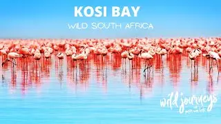 Best South African Adventure Destinations / Kosi Bay / Adv Travel  / Peter Van Kets / Inspiration