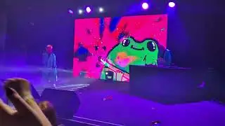 Mako - bardzo mała żaba - koncert na żywo live