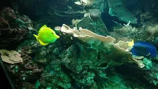 Aquarium at the Sch&ouml;nbrunn Zoo, Vienna