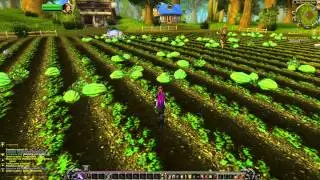 Speak with Gramma Quest - World of Warcraft