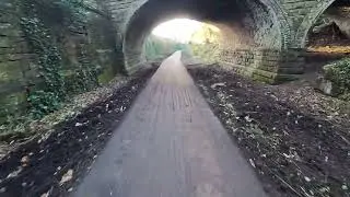 LOOP LINE TREES CUT DOWN...