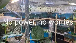 solar and Battery backup to run my fish shed