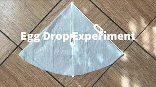 Egg Drop Experiment - Civil Engineering Design Class