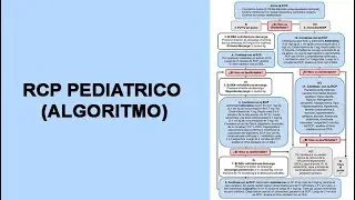 🔴 PEDIATRIC CPR (ALGORITHM)