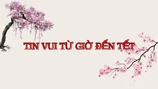 TIN VUI BẠN SẼ NHẬN TỪ GIỜ ĐẾN TẾT #66