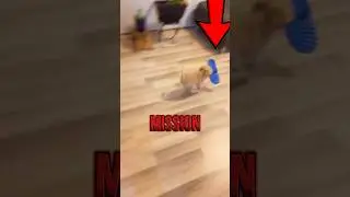 He Found a Slipper&hellip; But What He Did Next Is Insane 😳