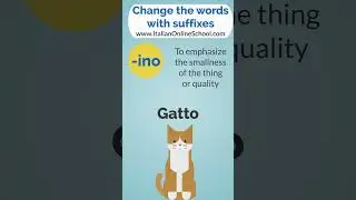 Change the words with the suffix -INO (GATTO - GATTINO) 🐱 #learnitalian