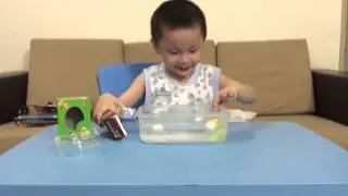Growing Pet Chicken and Dino Eggs Hatching by Esquirekids