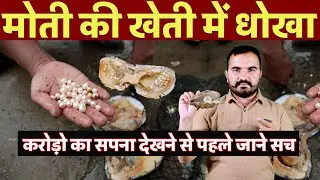 लाखों की खेती में करोड़ों का धोखा | Moti ki kheti की सच्चाई | Pearl Farming Reality in India #oyster