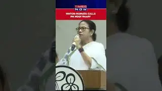 Watch: Mamata Banerjee Abuses PM Modi Over India's CWC Final Loss #shorts